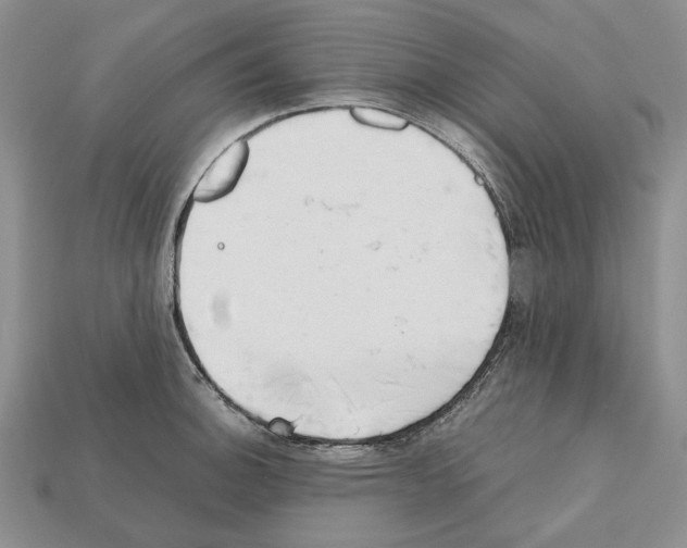 X0000112211140200909181548