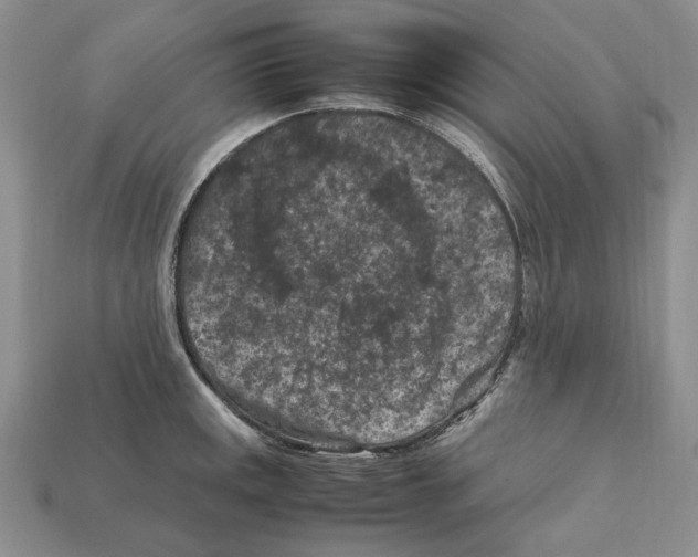 X0000112211141200909181548