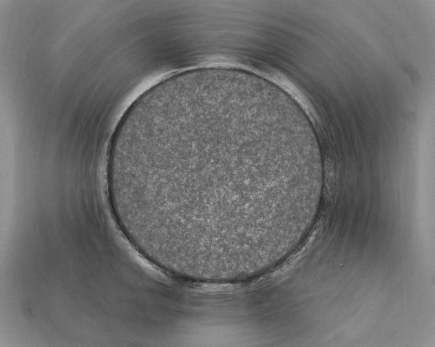X0000112211142200909181548