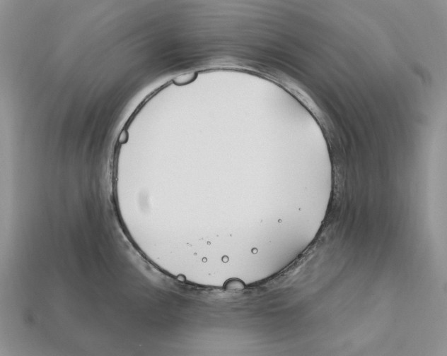 X0000112211148200909181548