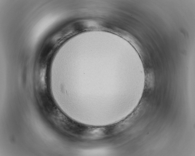 X0000112211150200909181549