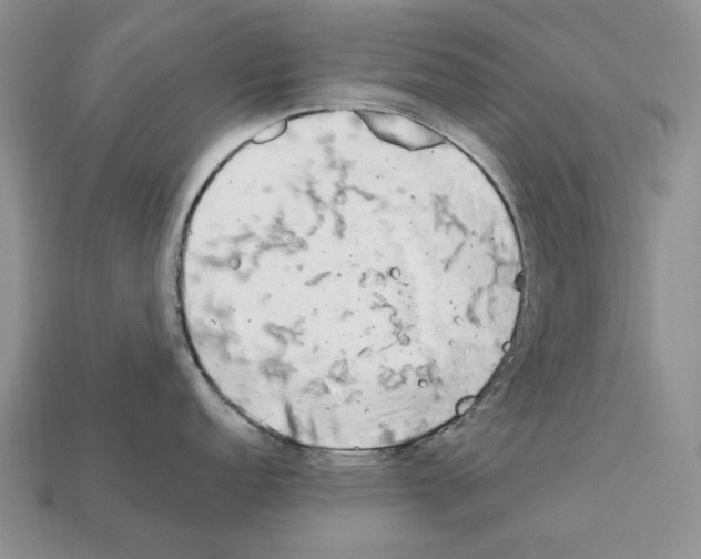 X0000112211152200909181549