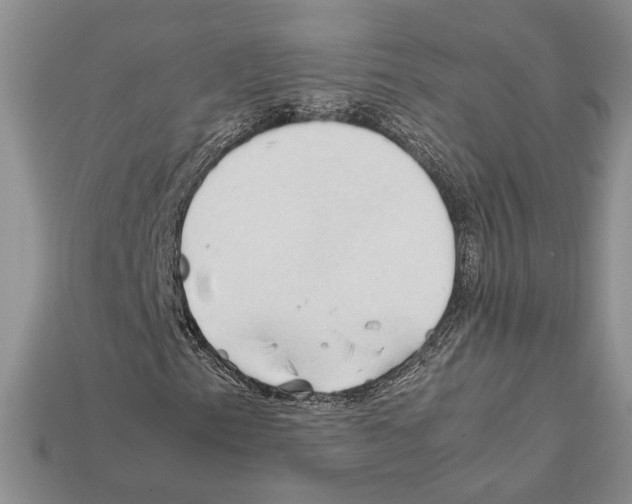 X0000112211153200909181548