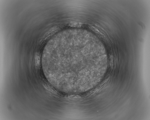 X0000112211154200909181548