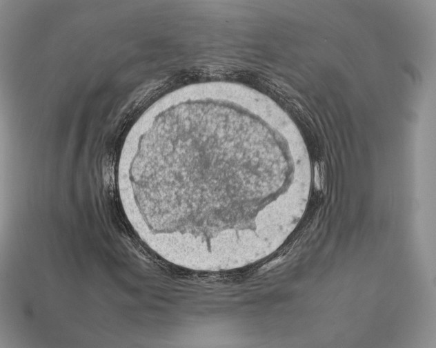 X0000112211155200909181548