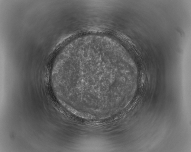 X0000112211158200909181548
