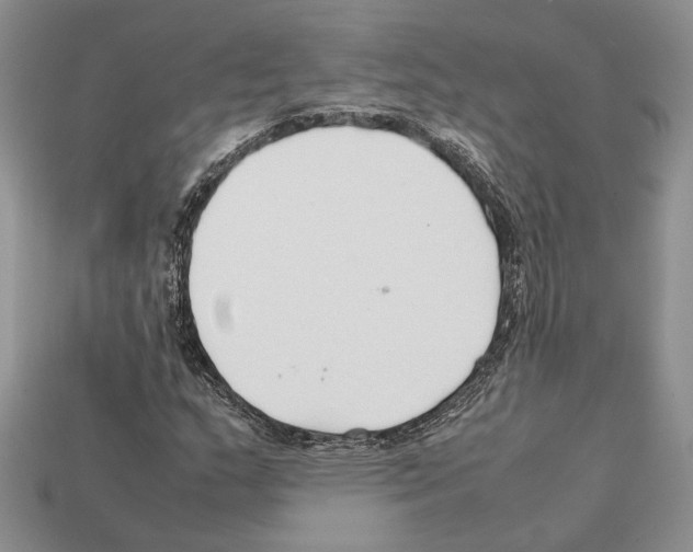 X0000112211159200909181548