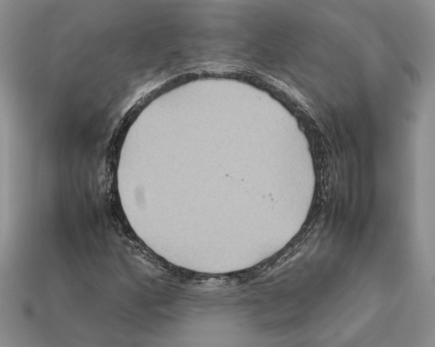 X0000112211160200909181548