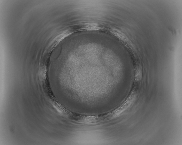X0000112211161200909181548