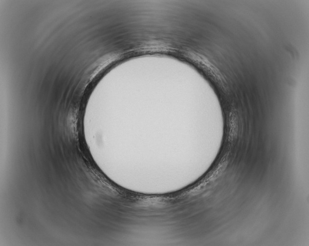 X0000112211162200909181548