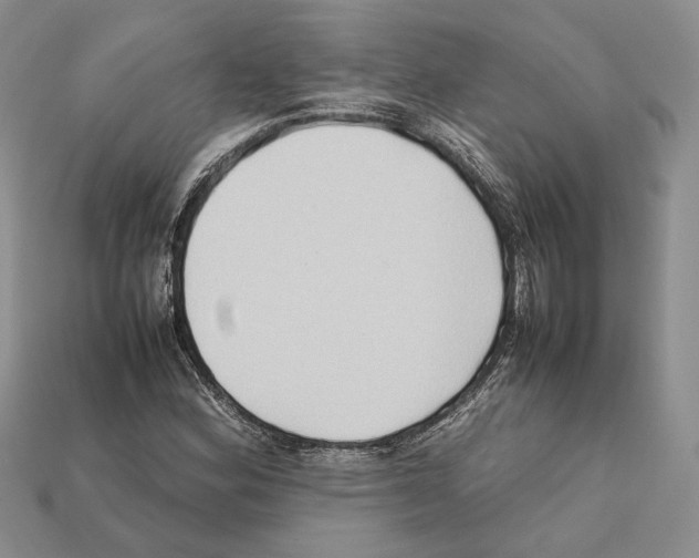 X0000112211164200909181548