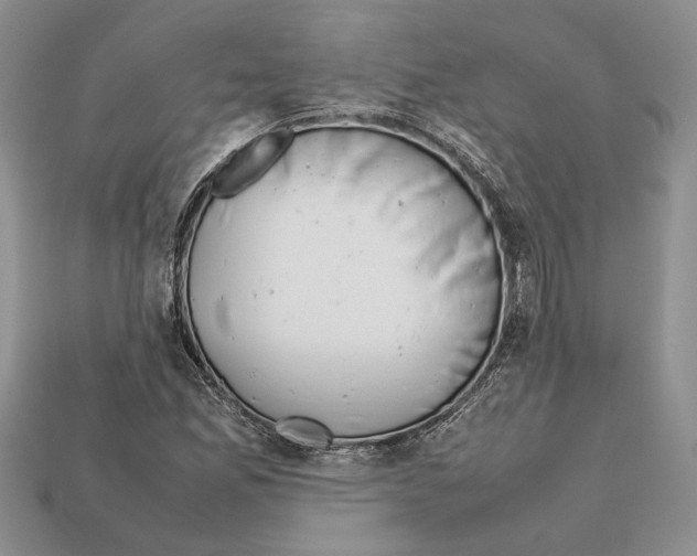 X0000112211165200909181548