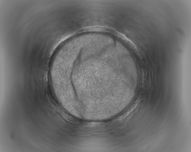 X0000112211166200909181548