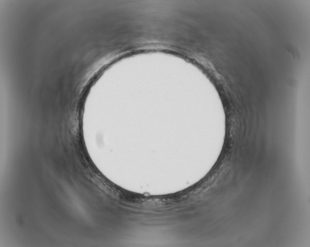 X0000112211167200909181548