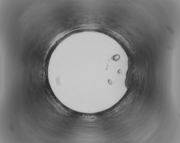 X0000112211168200909181548