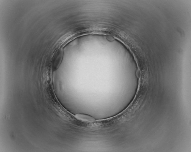 X0000112211169200909181548