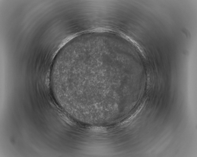 X0000112211170200909181548