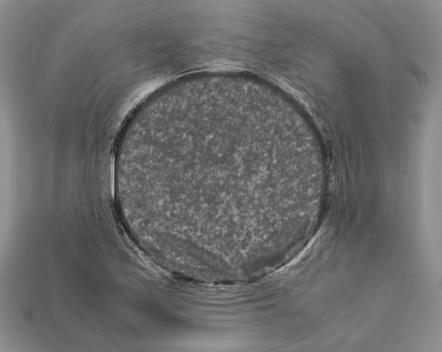 X0000112211171200909181548