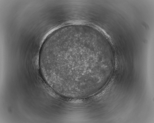X0000112211174200909181547