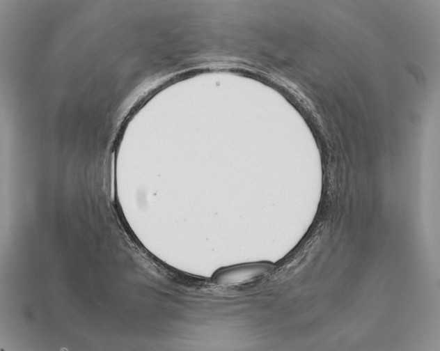 X0000112211175200909181547