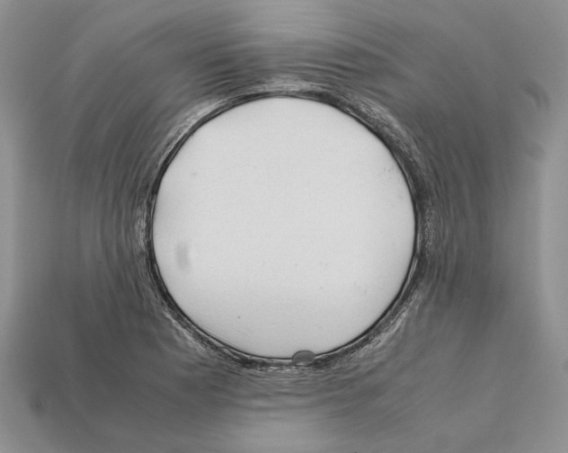 X0000112211177200909181547