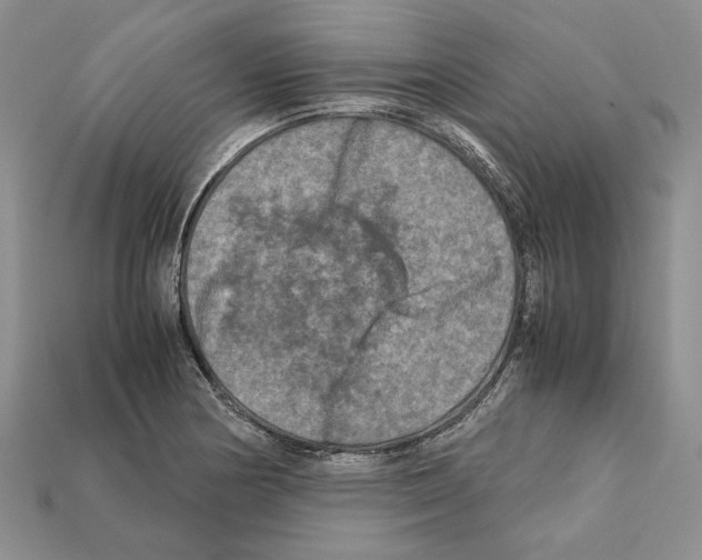X0000112211178200909181547