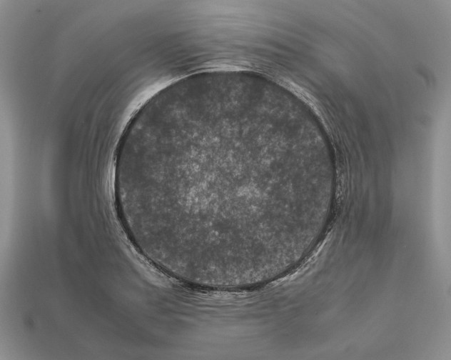 X0000112211179200909181547