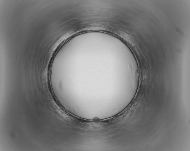 X0000112211181200909181547