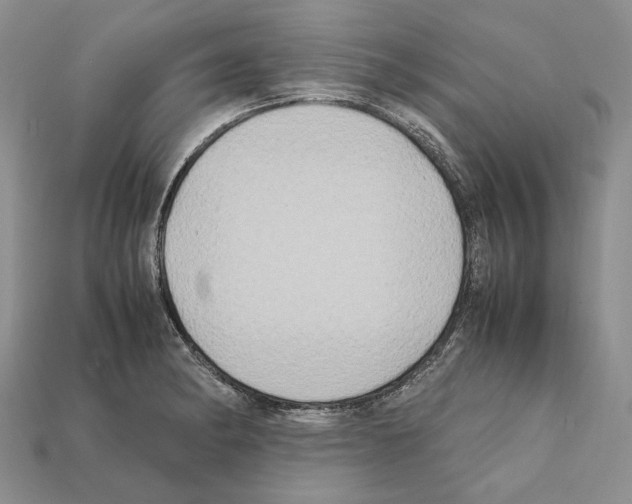 X0000112211182200909181547