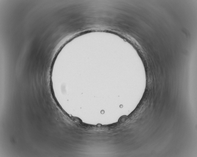 X0000112211183200909181547
