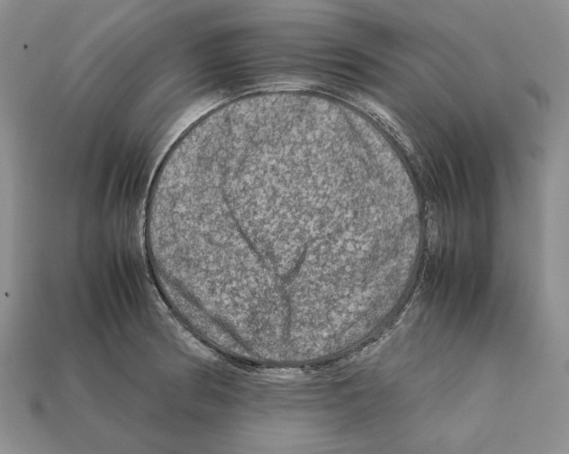 X0000112211186200909181547