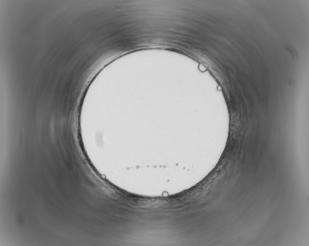 X0000112211187200909181547