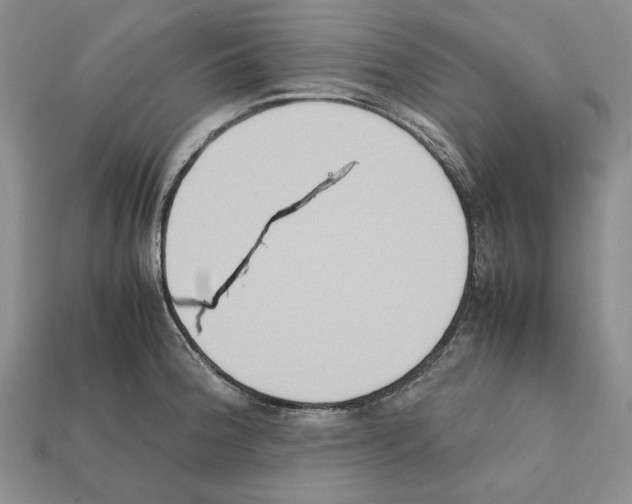 X0000112211188200909181547