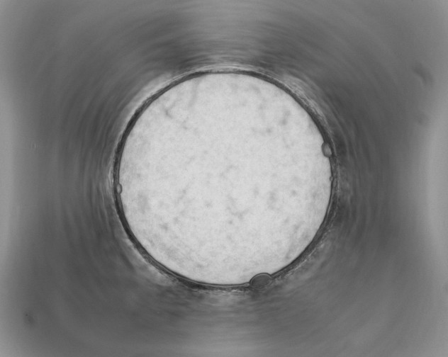 X0000112211189200909181547
