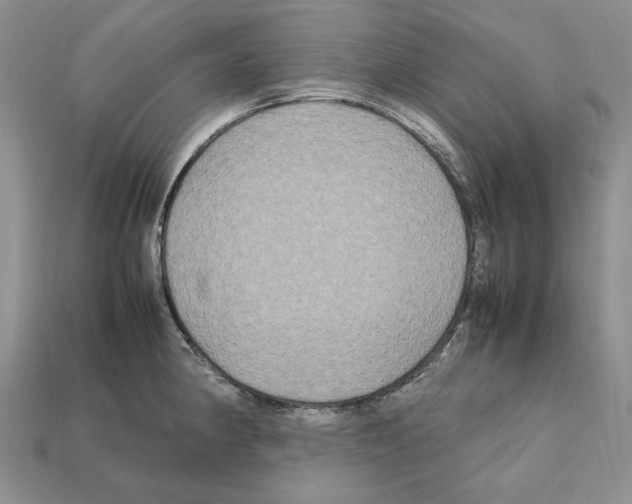 X0000112211190200909181547