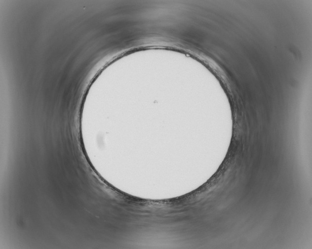 X0000112211191200909181547