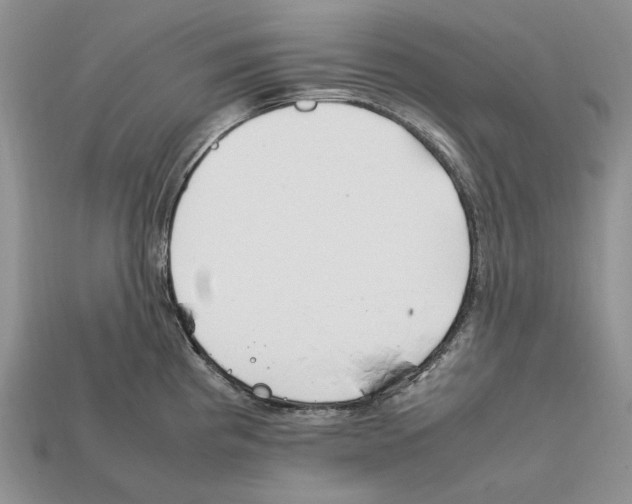 X0000112211193200909181547