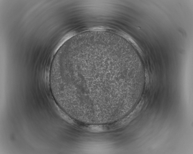 X0000112211194200909181547