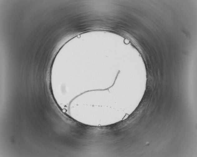 X0000112211195200909181547