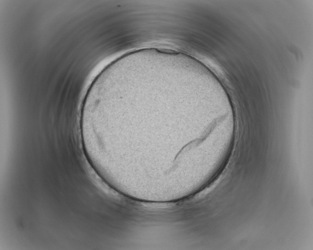 X0000112211200200909181547