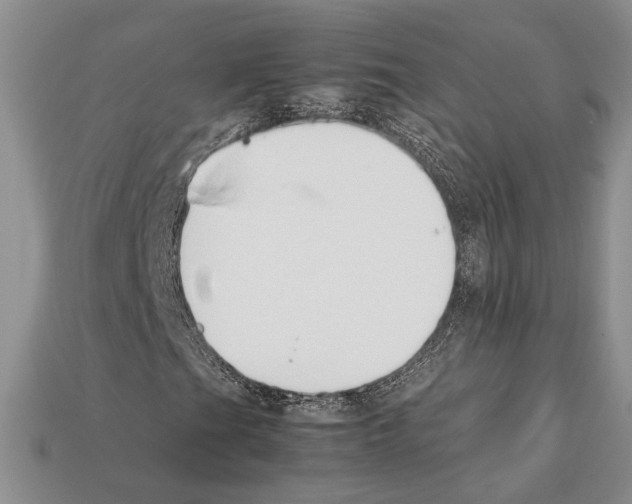 X0000112211201200909181547