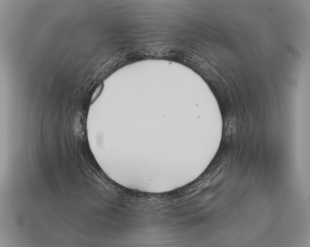 X0000112211202200909181547