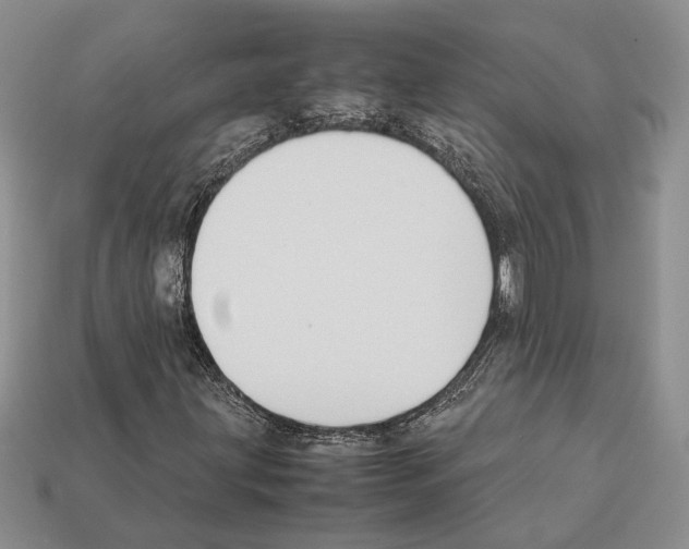 X0000112211203200909181547