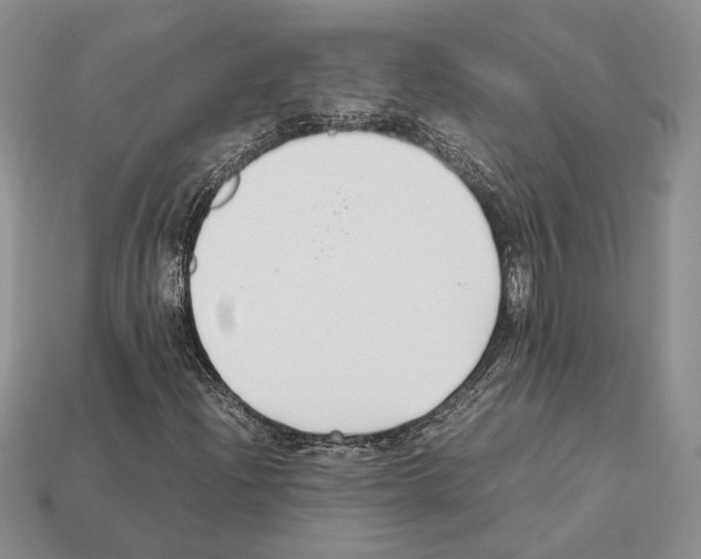 X0000112211204200909181547