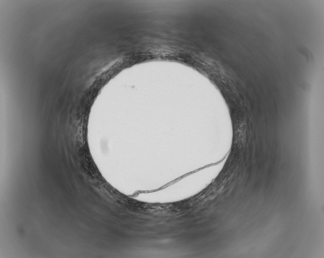 X0000112211205200909181547