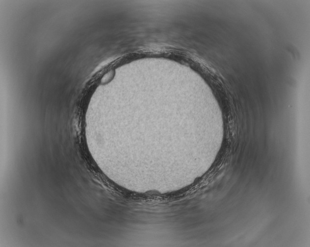 X0000112211206200909181547