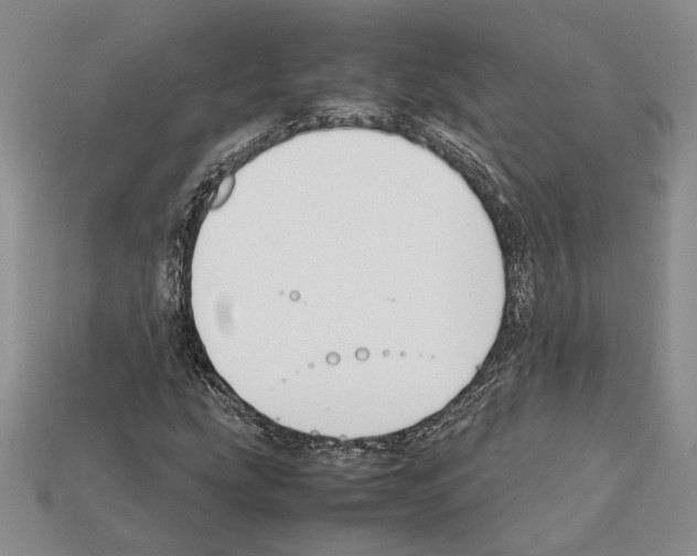 X0000112211207200909181547