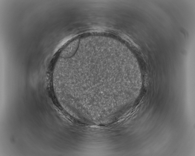 X0000112211208200909181547