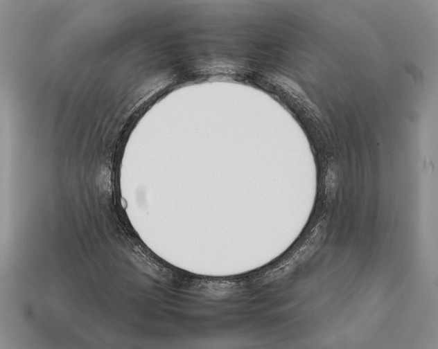 X0000112211209200909181547