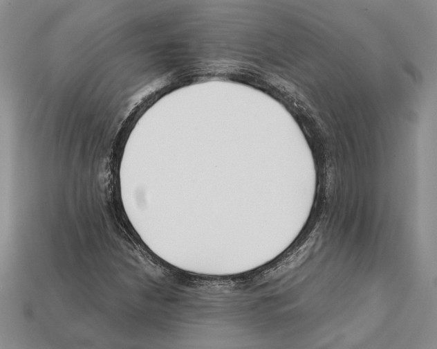 X0000112211210200909181547